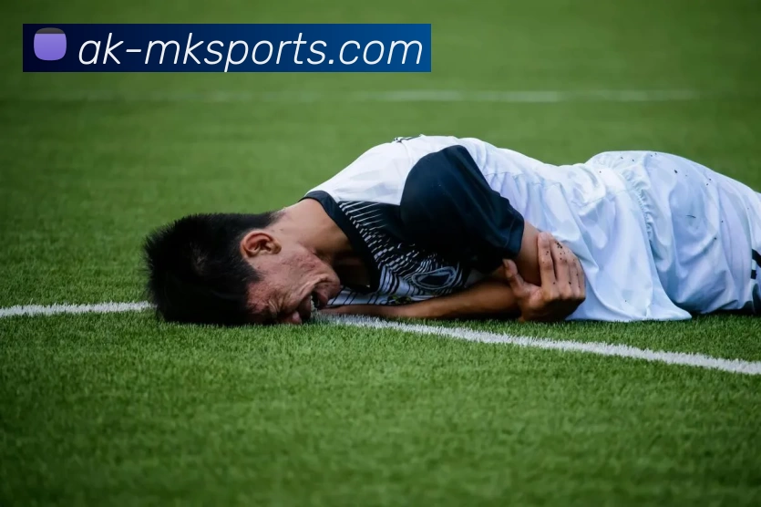 多媒体互动体验